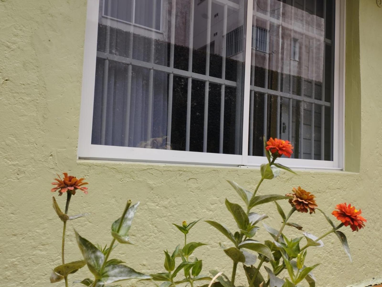 Charmoso Apto Com Clima De Casa Em Canasvieiras Florianopolis Bagian luar foto